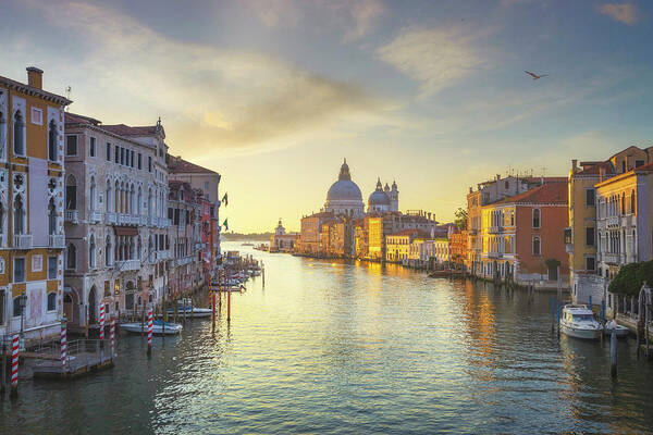 Venice Art Print featuring the photograph Venice grand canal, Santa Maria della Salute church by Stefano Orazzini