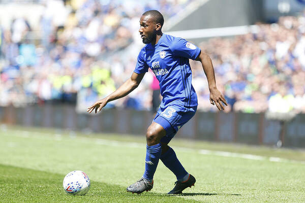 David Hoilett Art Print featuring the photograph Cardiff City v Reading - Sky Bet Championship #4 by Athena Pictures
