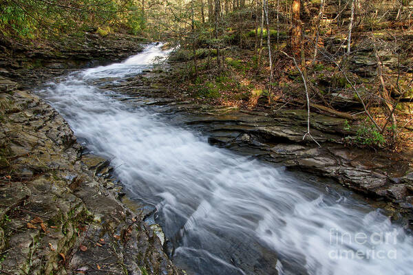 Hike Art Print featuring the photograph Rushing Water by Phil Perkins