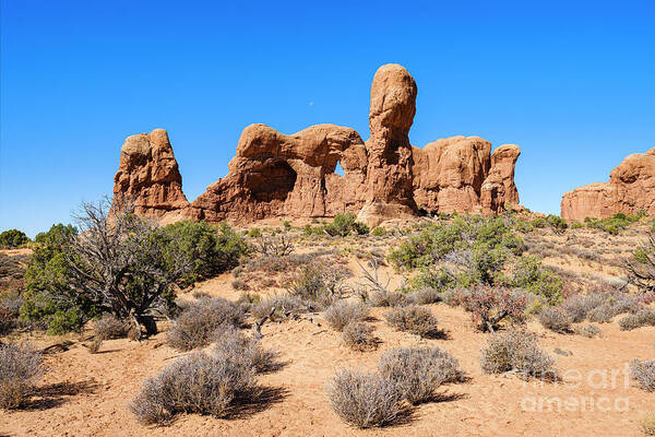 Arches National Park Art Print featuring the photograph Arches National Park #45 by Raul Rodriguez