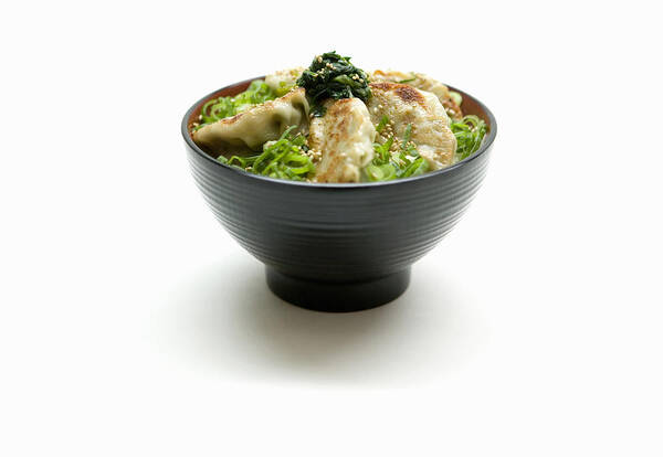 Dumpling Art Print featuring the photograph Close up of bowl of Japanese food #5 by Kondo Photography