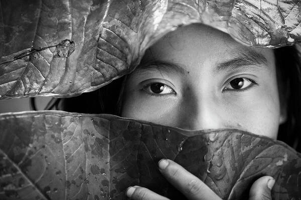 Minca Art Print featuring the photograph Minca Magdalena Colombia #7 by Tristan Quevilly