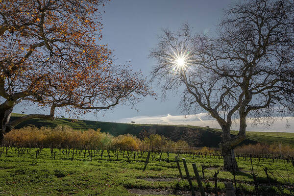  Art Print featuring the photograph San Luis Obispo #8 by Lars Mikkelsen