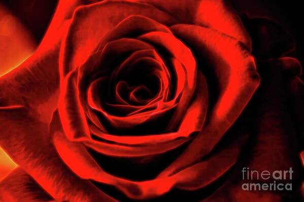 Glow Treatment Art Print featuring the photograph A Bloom in Red by Diana Mary Sharpton