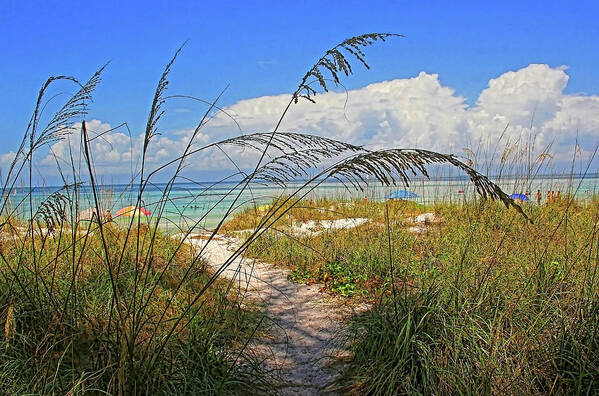 Anna Maria Island Florida Art Print featuring the photograph A Day At The Beach by HH Photography of Florida