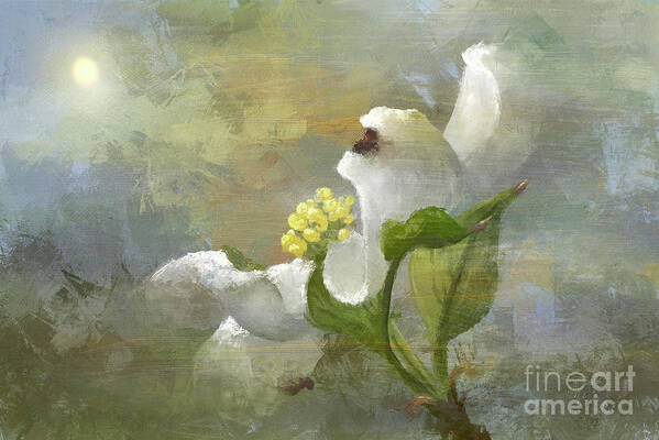 Flower Art Print featuring the digital art A Light That Shines For Me by Lois Bryan