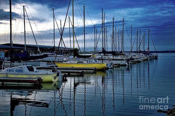 Diana Art Print featuring the photograph A November Morning by Diana Mary Sharpton