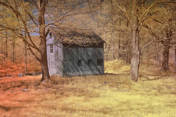 Woodland Art Print featuring the photograph A shed in the woods by Alan Goldberg