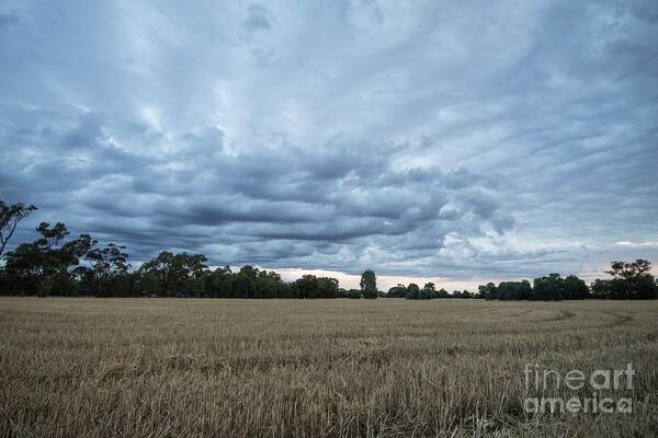 Farm Art Print featuring the photograph A Summer Storm Brewing by Linda Lees