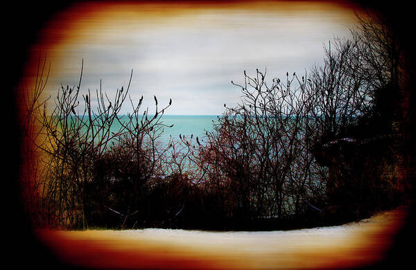 Lake Art Print featuring the photograph A view of the lake through the bushes by Milena Ilieva