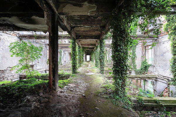Abandoned Art Print featuring the photograph Abandoned Overgrown Corridor by Roman Robroek
