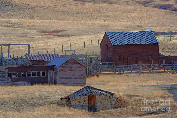 Buildings Art Print featuring the photograph Ranch Buildings by Kae Cheatham