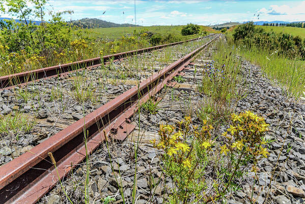 Railway Art Print featuring the photograph Abandoned by Werner Padarin