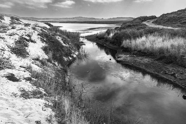 Abbotts Lagoon Art Print featuring the photograph Abbotts Lagoon In BW by Her Arts Desire