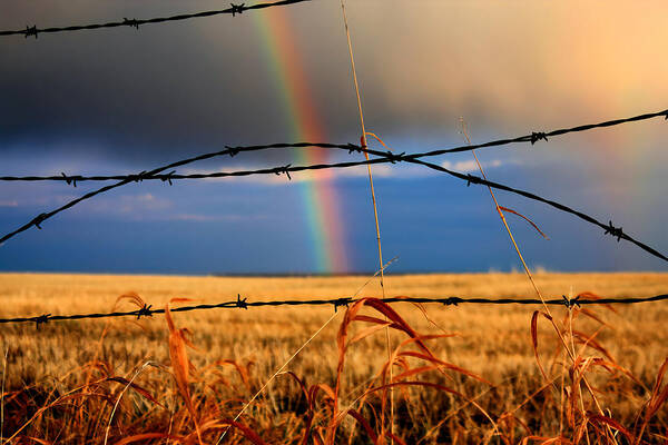 Rainbow Art Print featuring the photograph Access Denied by James Anderson