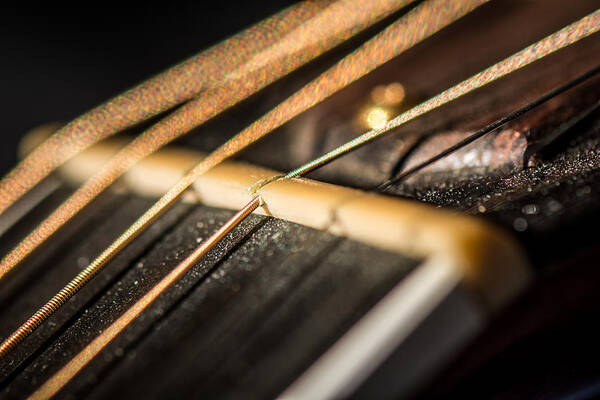 Music Art Print featuring the photograph Acoustic Guitar - Neck - Bone Nut by Dave Graham