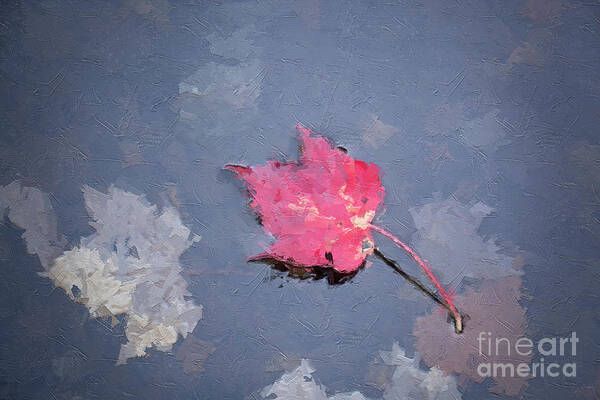 Life Art Print featuring the digital art Afloat - Autumn Leaf by Rehna George