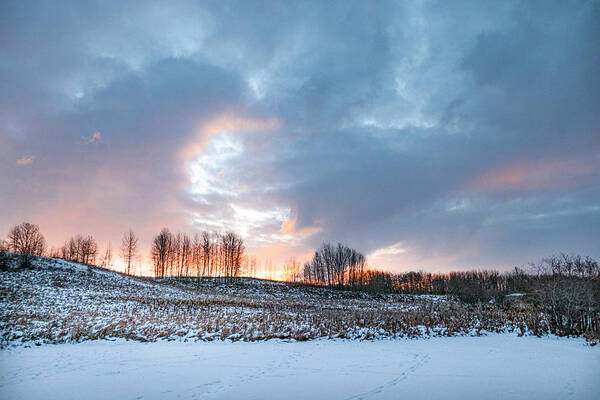 Winter Art Print featuring the photograph Alberta winter dawn by Karen Rispin