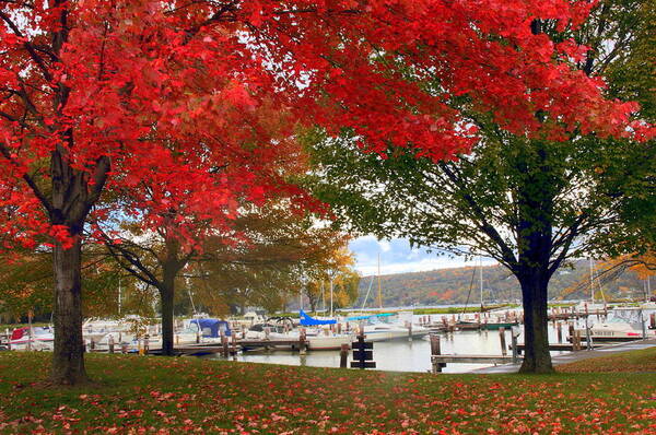 Marina Art Print featuring the photograph Allan H. Treman State Marine Park by Jessica Jenney