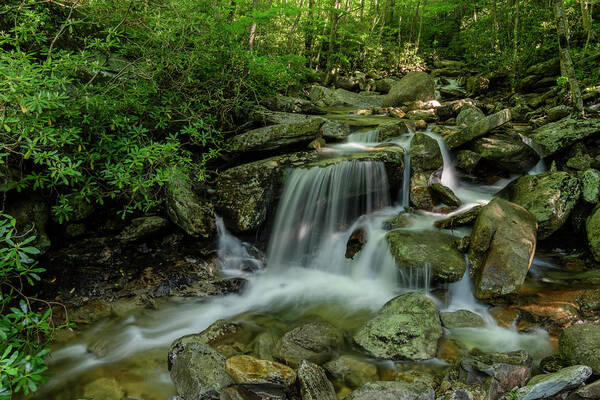 Blue Ridge Mountains Art Print featuring the photograph Along the Creek by Melissa Southern