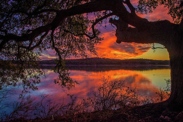 Texas Hill Country Art Print featuring the photograph Amazing Oak Sunset at Boerne City Lake by Lynn Bauer