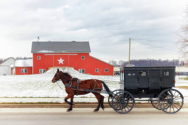Amish Art Print featuring the photograph Amish Buggy at the Star Barn by Susan Rissi Tregoning