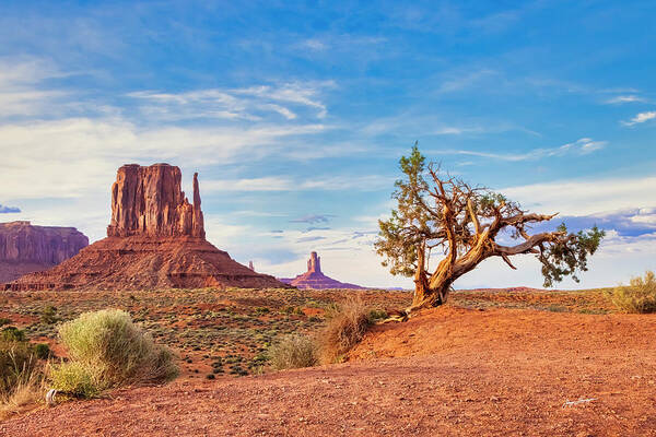 Monument Valley Art Print featuring the photograph Ancient Companions by Jurgen Lorenzen