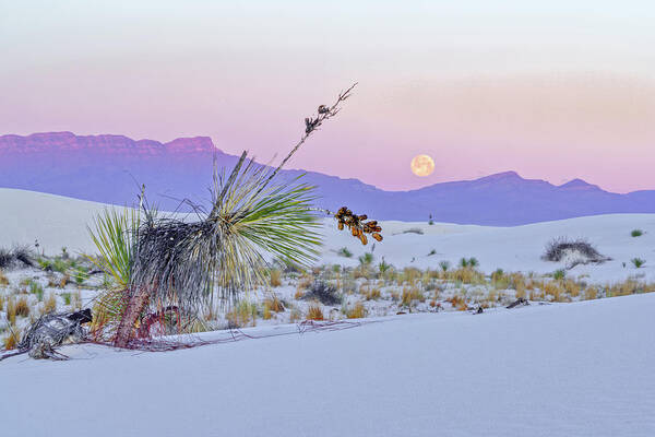 New Mexico Art Print featuring the photograph April 2020 Moonset over White Sands by Alain Zarinelli