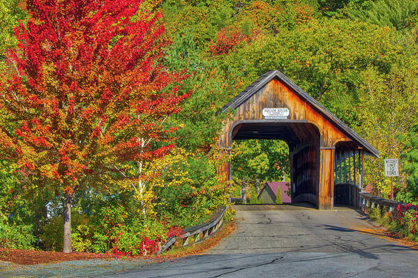 Ashland Covered Bridge Art Print featuring the photograph Ashland Covered Bridge by Juergen Roth