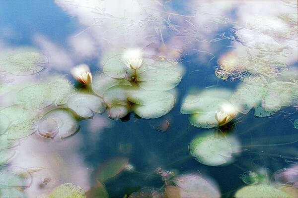 Impressionism Photos Art Print featuring the photograph At Claude Monet's Water Garden 4 by Dubi Roman