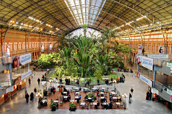 Madrid Art Print featuring the photograph Atocha Train Station - Madrid by Barry O Carroll