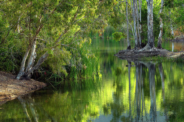 Australia Art Print featuring the photograph Australia - Queensland by Olivier Parent