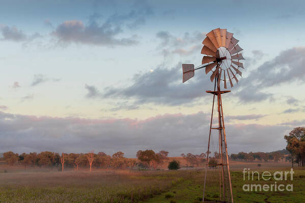 Windmill Art Print featuring the photograph Australian Sunrise by Daniel M Walsh