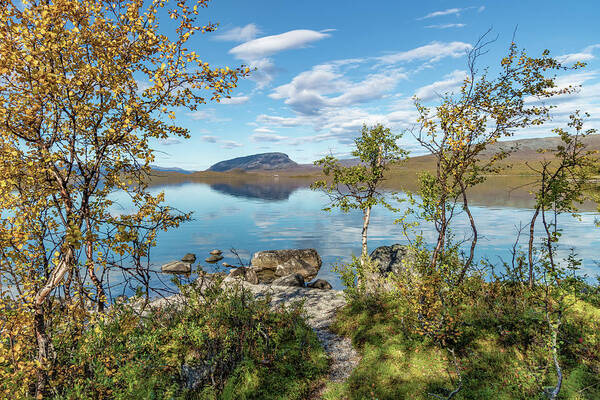 Autumn Art Print featuring the photograph Autumn arrives in Lapland by Thomas Kast