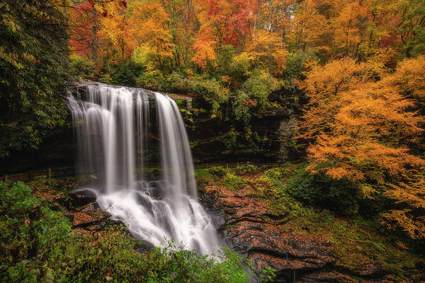 Blue Ridge Mountains Art Print featuring the photograph Autumn at Dry Falls by Robert J Wagner