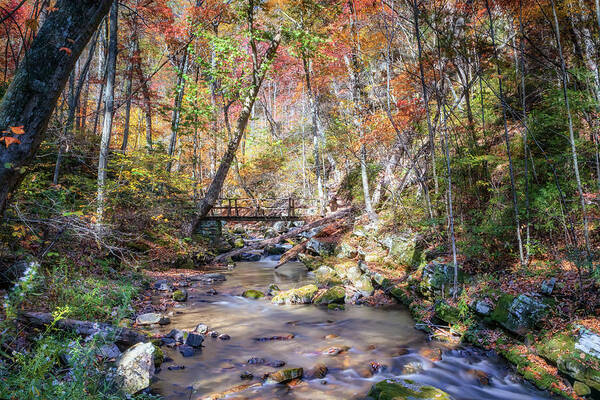 Roaring Run Art Print featuring the photograph Autumn at Roaring Run Creek by Susan Rissi Tregoning