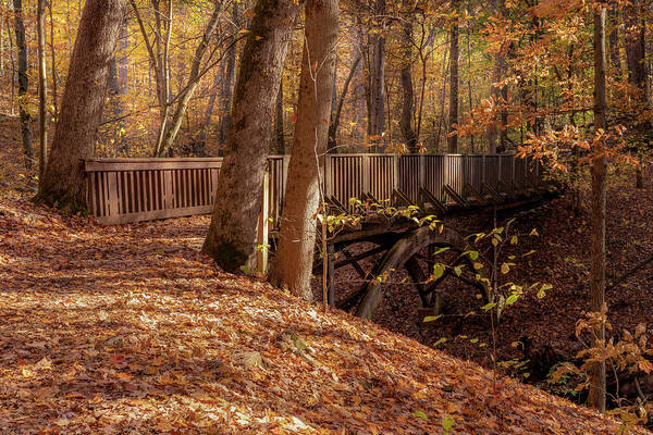 Bridge Art Print featuring the photograph Autumn Bridge by Arthur Oleary