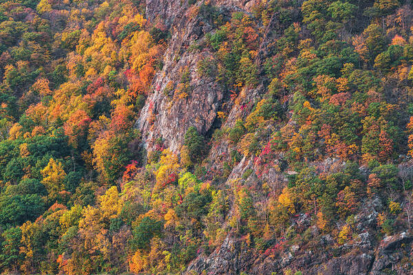 Autumn Art Print featuring the photograph Autumn Cliffs by Angelo Marcialis