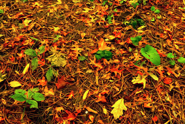 Autumn Colors Art Print featuring the photograph Autumn Colors on the Forest Floor by Sandra J's