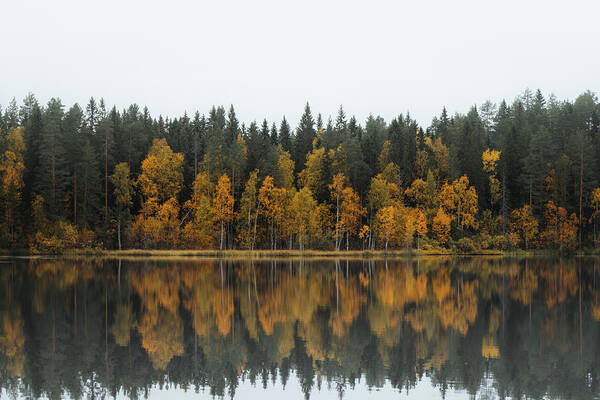 Dramatic Art Print featuring the photograph Autumn fairy tale in Kainuu, Finland by Vaclav Sonnek