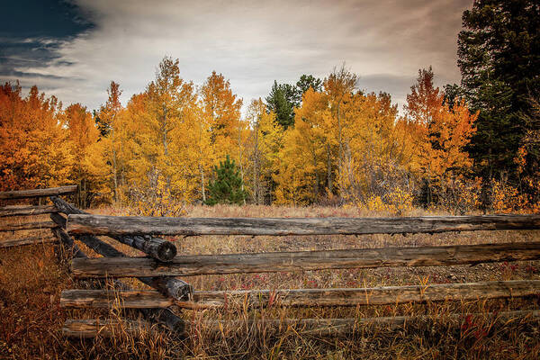 Colorado Art Print featuring the photograph Autumn in Colorado by Kevin Schwalbe