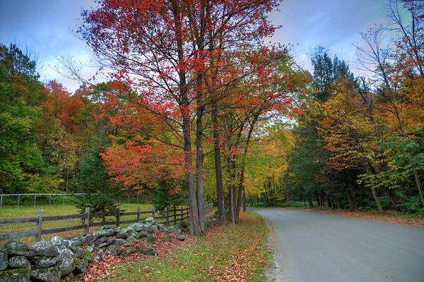 Fine Art Art Print featuring the photograph Autumn In Vermont by Robert Harris