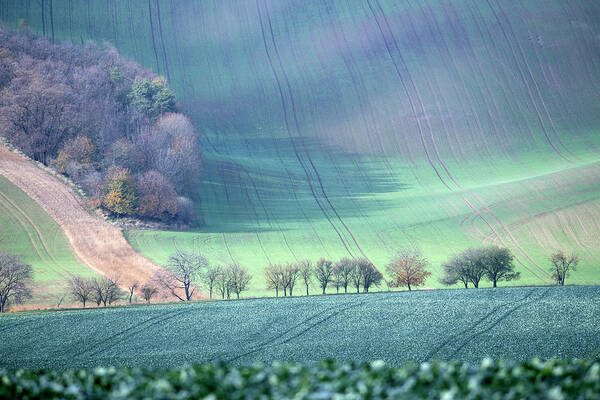 South Art Print featuring the photograph Autumn in South Moravia 2 by Dubi Roman