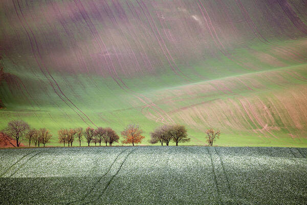 South Art Print featuring the photograph Autumn in South Moravia 1 by Dubi Roman