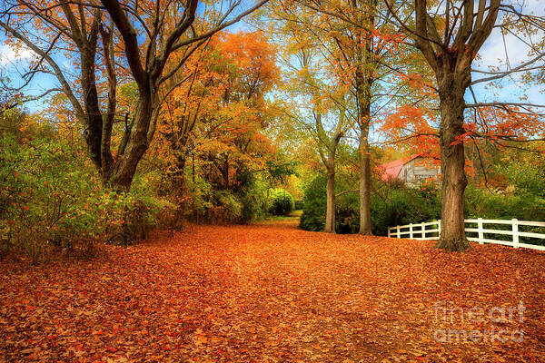 Autumn Art Print featuring the photograph Autumn in the Country by Shelia Hunt