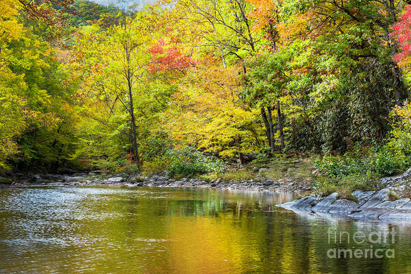 Smoky Mountains Art Print featuring the photograph Autumn in the Smoky Mountains by Theresa D Williams