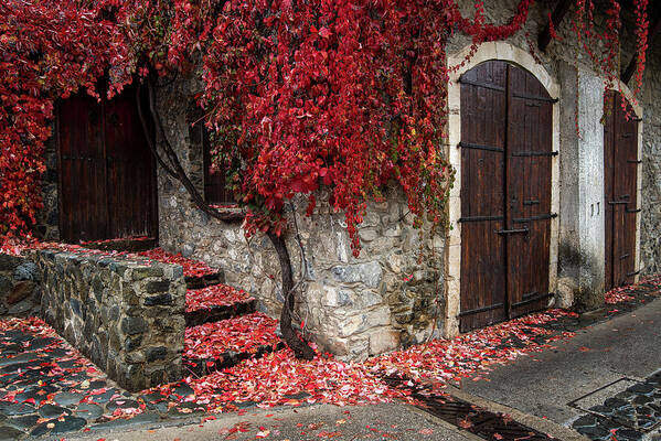 Autumn Art Print featuring the photograph Autumn landscape with red plants on a hous wall by Michalakis Ppalis