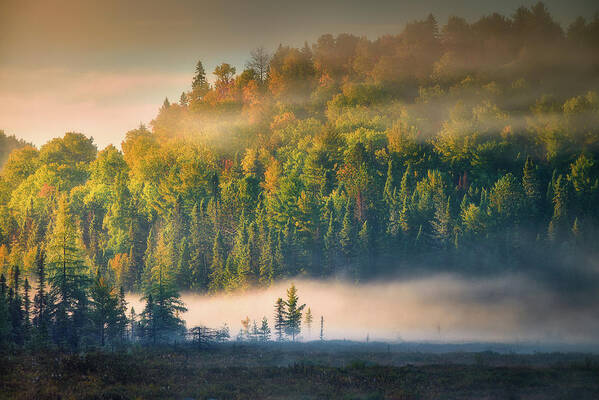 Algonquin Art Print featuring the photograph Autumn morning at Algonquin by Henry w Liu
