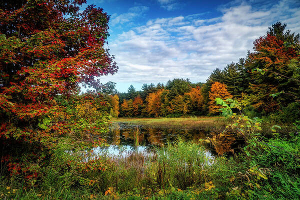 Colors Of Autumn Art Print featuring the photograph Autumn nature landscape 1 by Lilia S