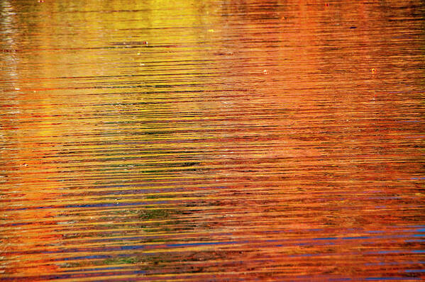 Abstract Art Print featuring the photograph Autumn Reflection by Cathy Kovarik